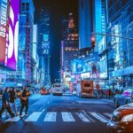 Private Transfer Service-New York Manhattan Downtown for 8 hours - What to Expect from This Private Transfer Service