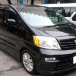 Private Transfer: Shanghai Wusongkou Cruise Terminal (Baoshan Port) to Hotel - What to Expect from Your Private Transfer in Shanghai