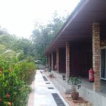 Private Transfer to Taman Negara from Kuala Lumpur - Why Choose This Transfer?