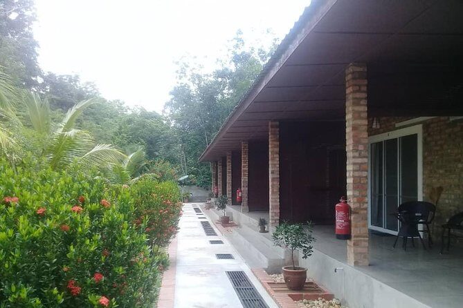 Private Transfer to Taman Negara from Kuala Lumpur - Why Choose This Transfer?