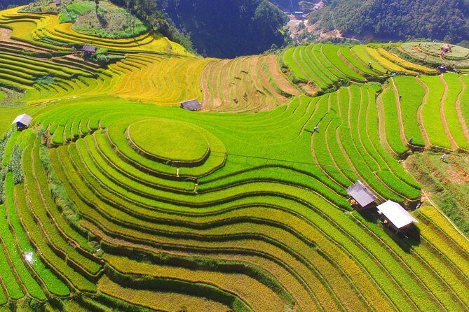 Private transfers Between Hanoi and Mu Cang Chai - The Scenic Route and Stops
