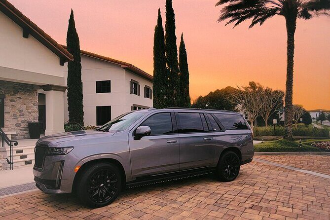 Private Transport: Orlando Airport to Lake Buena Vista Hotels - Transport Quality and Comfort