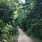 Private trip around Koh Phangan - FAQ