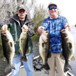 Private Trophy Bass Harris Chain of Lakes Fishing Charter - Who Should Consider This Tour?