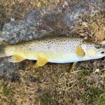 Private Trout Fishing Excursion in Virginia - Final Thoughts