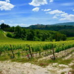Private Tuscany Day Tour: San Gimignano and Chianti Wine Region from Florence - Authentic Experiences and Guides Who Know Their Stuff