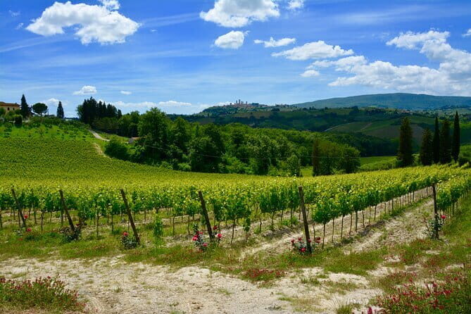 Private Tuscany Day Tour: San Gimignano and Chianti Wine Region from Florence - Authentic Experiences and Guides Who Know Their Stuff
