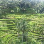 Private Ubud Tegalalang Rice Teracce & Tanah Lot Tour - What’s Included and What to Keep in Mind