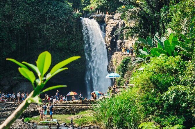 Private Ubud Tour with Swing - Who Will Love This Tour?