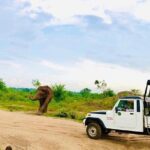Private Udawalawe Nationalpark Jeep-Safari - Authentic Insights from Travelers
