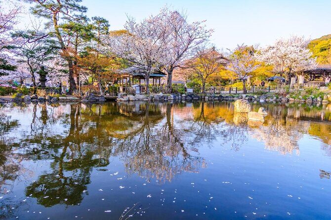 Private & Unique Kyoto Cherry Blossom "Sakura" Experience - Why This Tour Is Worth Considering