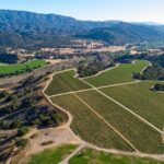 Private Vineyard Tour and Wine Tasting - A Detailed Look at the Tour