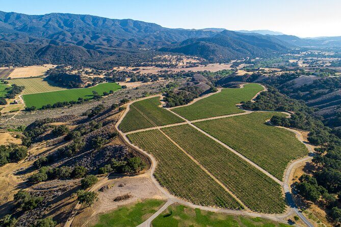 Private Vineyard Tour and Wine Tasting - A Detailed Look at the Tour