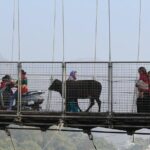 Private Walking Tour in Rishikesh - Who Is This Tour Best For?