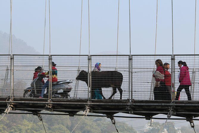 Private Walking Tour in Rishikesh - Who Is This Tour Best For?