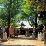 Private walking Tour in Tokyo with a Local Guide - Practical Details and What to Expect
