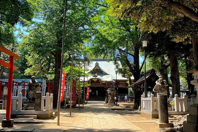 Private walking Tour in Tokyo with a Local Guide - Practical Details and What to Expect