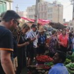 Private Walking Tour of Udaipur with a Professional Guide - Whats Included and Whats Not