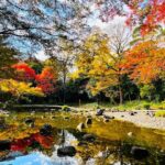 Private Walking Tour to explore Tokyo based on your interests - Detailed Breakdown of the Itinerary