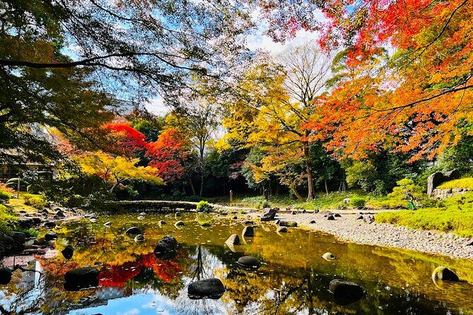 Private Walking Tour to explore Tokyo based on your interests - Detailed Breakdown of the Itinerary