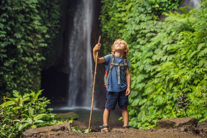 Private Waterfalls Tour in North Bali - Who Should Consider This Tour?