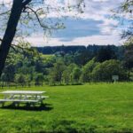 Private Willamette Valley Character Winery Tour - FAQ