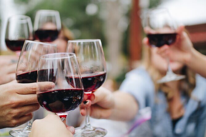 Private Wine Country Tour in Uncork Santa Barbara - The Practicalities: What You Need to Know