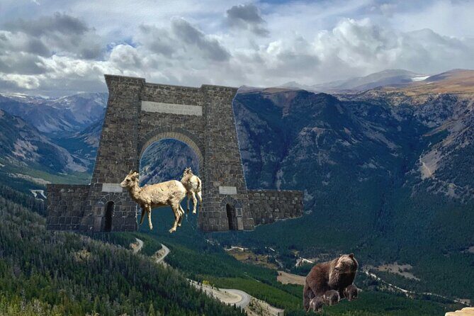 Private Yellowstone Wildlife and Photo Tours West Yellowstone - Practical Details: What Makes This Tour Stand Out