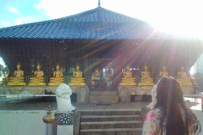 Privet Full-day Sightseeing Tour of Colombo - Who Should Consider This Tour?