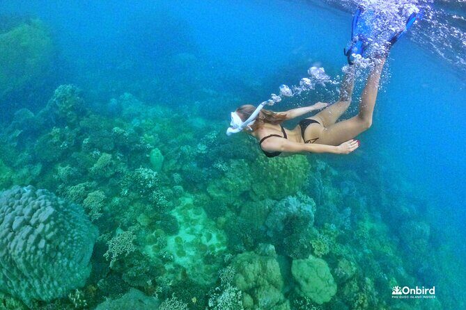 PRO-SNORKELING to Explore The Coral Jungle REEF (MAX 10 PAX) - Who Should Book This Tour?