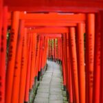 Professionally guided Tokyo Private Walking Tour - Why Travelers Love This Tour