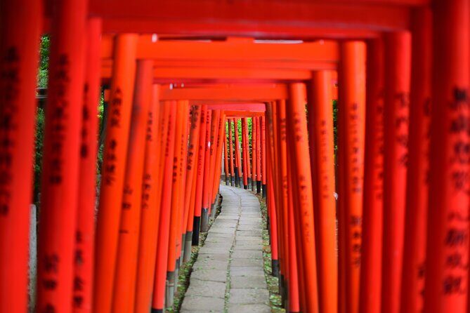 Professionally guided Tokyo Private Walking Tour - Why Travelers Love This Tour