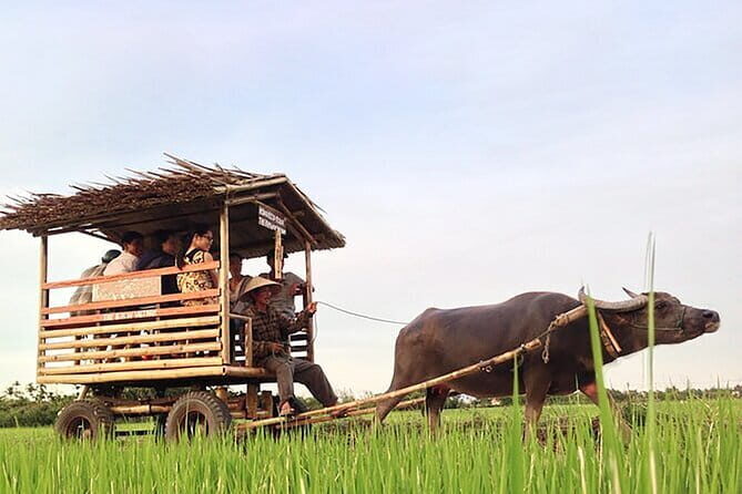 Pu Luong: 3-Day Adventure with Trekking, Cycling & Cooking Class - A Deep Dive into the 3-Day Itinerary