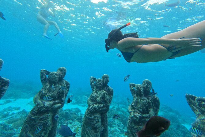 Public Snorkeling 3 Islands - Practical Details and Tips