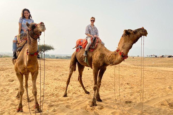Pushkar Full Day Tour from Jaipur with All Inclusive - What Makes This Tour a Good Choice?