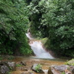 Rainforest Volcano Tour - The Sum Up