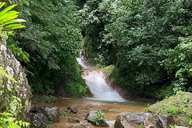 Rainforest Volcano Tour - The Sum Up