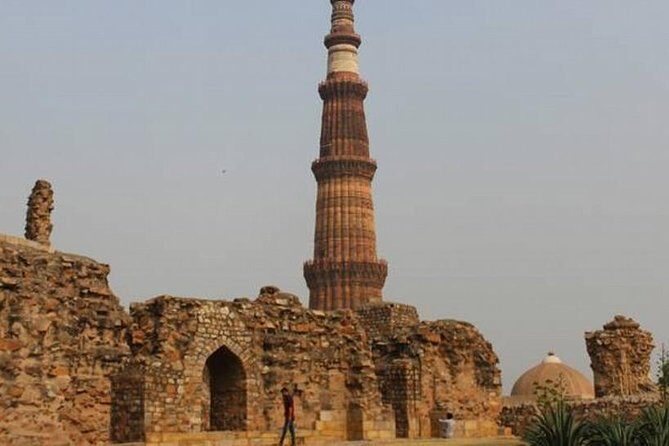 Ranthambore Safari | Bird Watching | Agra & Delhi from Jaipur - Day 2: Birdwatching and a Cultural Drive to Agra