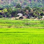 Real Vietnam Countryside Bicycle Tour & Enjoy Sunset On Wood Boat - Who Will Love This Tour?