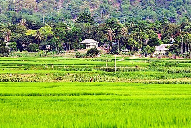 Real Vietnam Countryside Bicycle Tour & Enjoy Sunset On Wood Boat - Who Will Love This Tour?