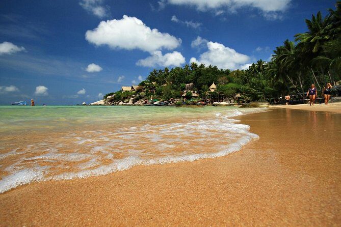 Red Baron Chinese Sailboat Tour from Koh Samui - Final Thoughts