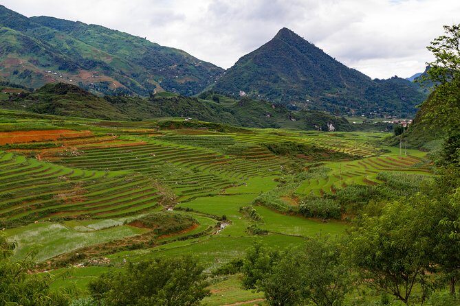 Red Dao village trek and Herbal bath - Practicalities and Highlights