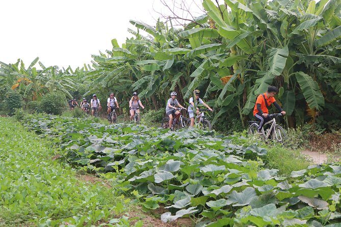 Red River island backroad, Rural Countyside Area and Train Street - The Sum Up: Is This Tour Worth It?
