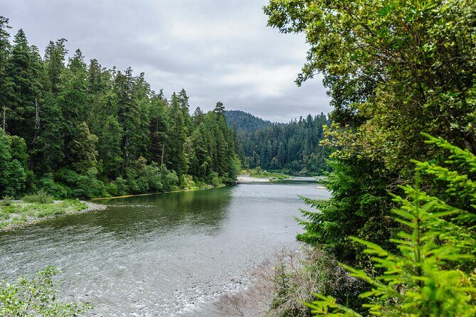 Redwood National and State Parks Self-Guided Audio Driving Tour - What Travelers Are Saying