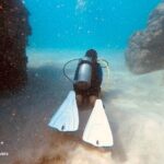 Refresher Scuba Dive - Is It Worth the Price?