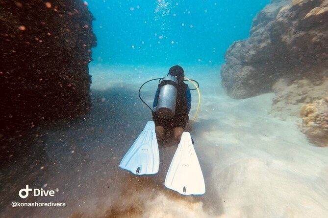 Refresher Scuba Dive - Is It Worth the Price?