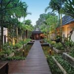 Reiki Healing in Chiang Mai's Award-Winning Day Spa - A Closer Look at the Experience