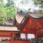 Relax in Nara: Deer Park, Todai-ji Temple and Merchants' Town - Who Is This Tour Best For?