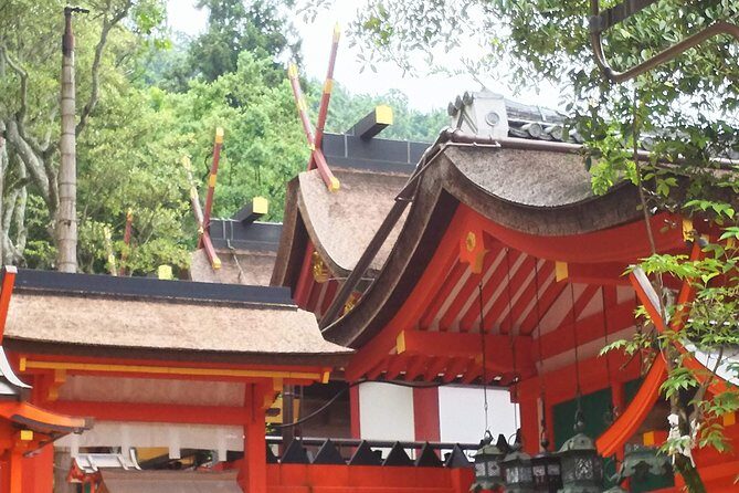 Relax in Nara: Deer Park, Todai-ji Temple and Merchants' Town - Who Is This Tour Best For?