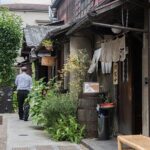 Retro Food Tour in Yanaka - Who Will Love This Tour?